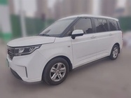 Wuling Hongguang 2020