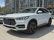 BYD PLUS 2020