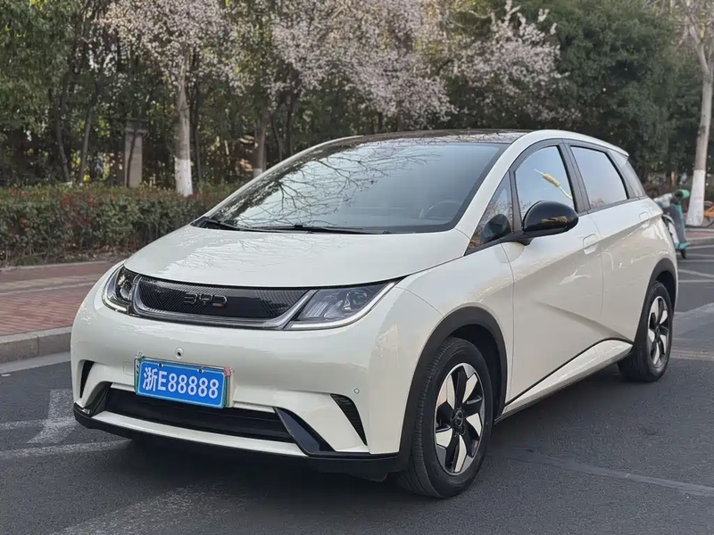 BYD Dolphin