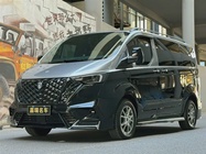 Ford Tourneo 2025