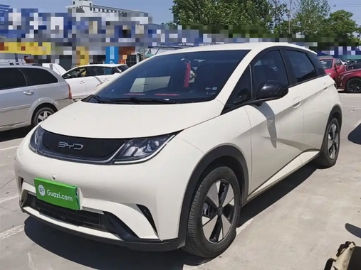BYD Dolphin 2024