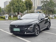 Wuling Xingguang 2024