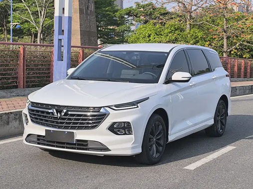 Wuling Victory 2022