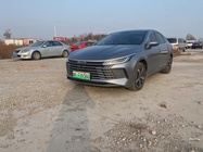 BYD Destroyer 2024