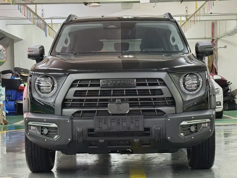 Haval Big Dog