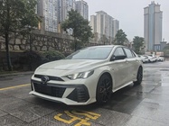 GAC Shadow Leopard 2023