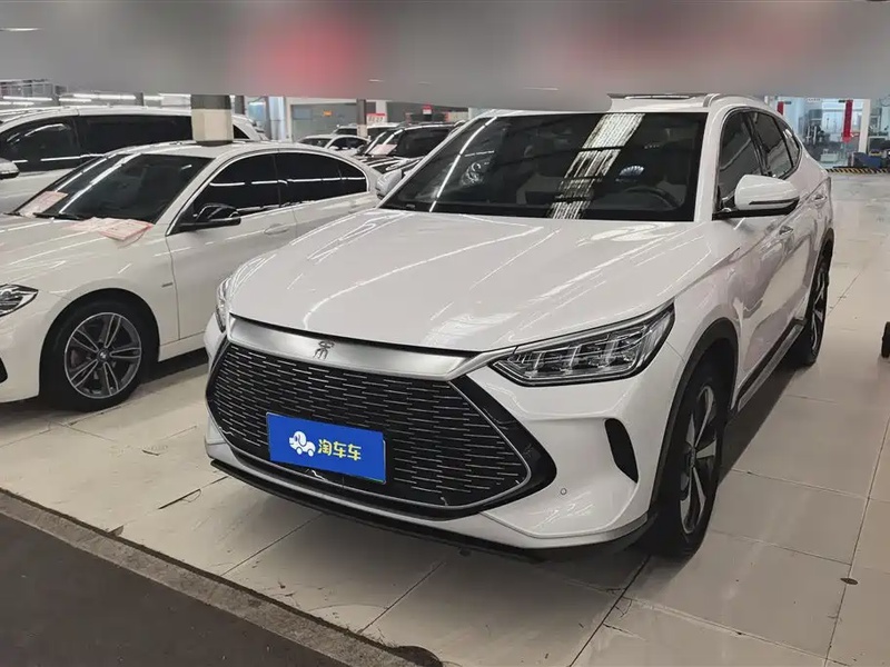 BYD PLUS