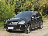 Mercedes-Benz M-Class 2010
