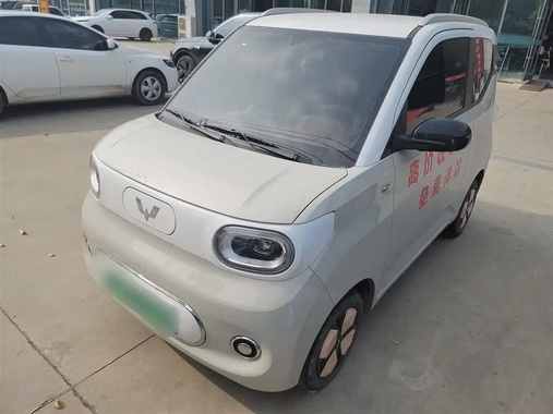 Wuling Mini 2024