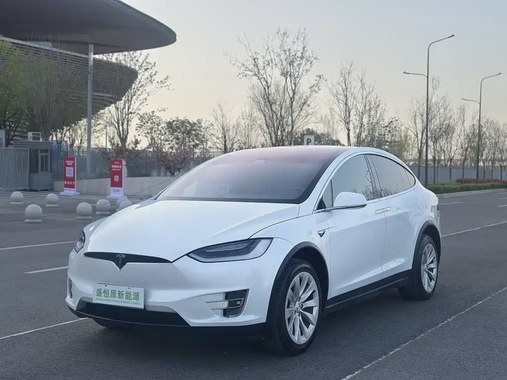 Tesla Model X 2019