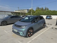 BYD Dolphin 2022
