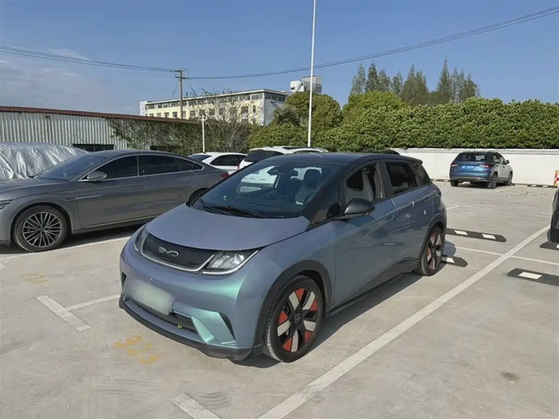 BYD Dolphin