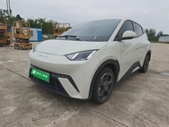 BYD Seagull 2024