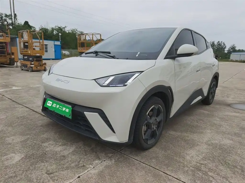 BYD Seagull
