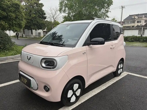 Wuling Mini 2024