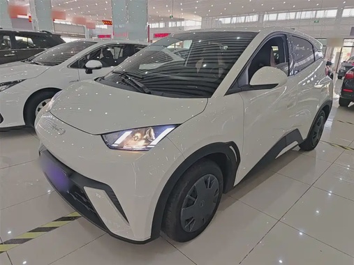 BYD Seagull 2025