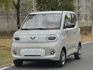 Wuling Mini 2025