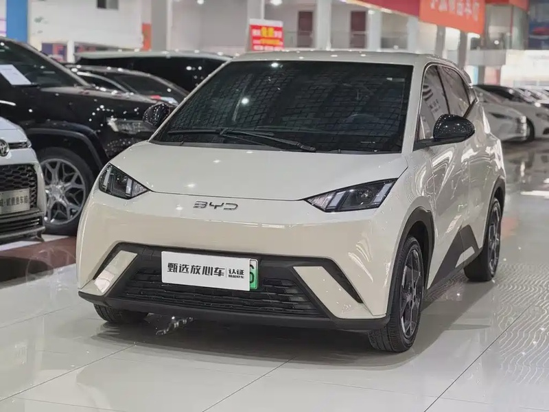 BYD Seagull