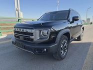 Haval Big Dog 2024