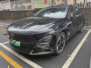 Wuling Xingguang 2024