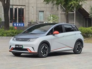 BYD Dolphin 2022