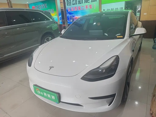 Tesla Model 3 2022