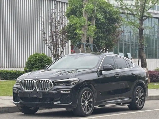 BMW X6 2021