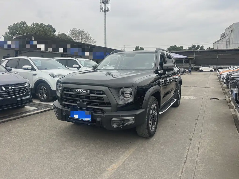 Haval Big Dog