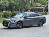 GAC Shadow Leopard 2024