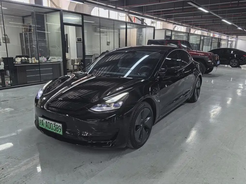 Tesla Model 3 2021