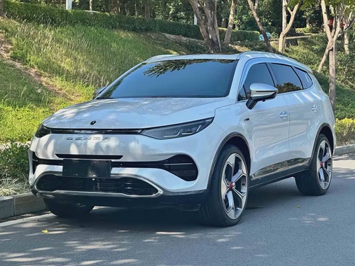Denza X 2020