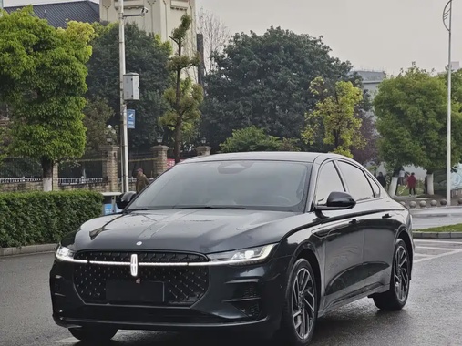 Lincoln Z 2022