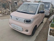 Wuling Mini 2024