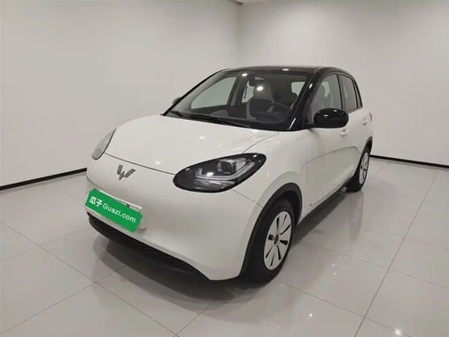 Wuling Bingo 2024