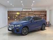 BMW X6 2020