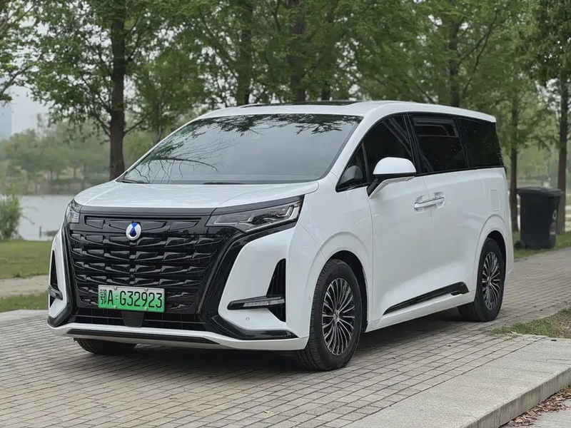 Denza D9
