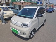 Wuling Mini 2024