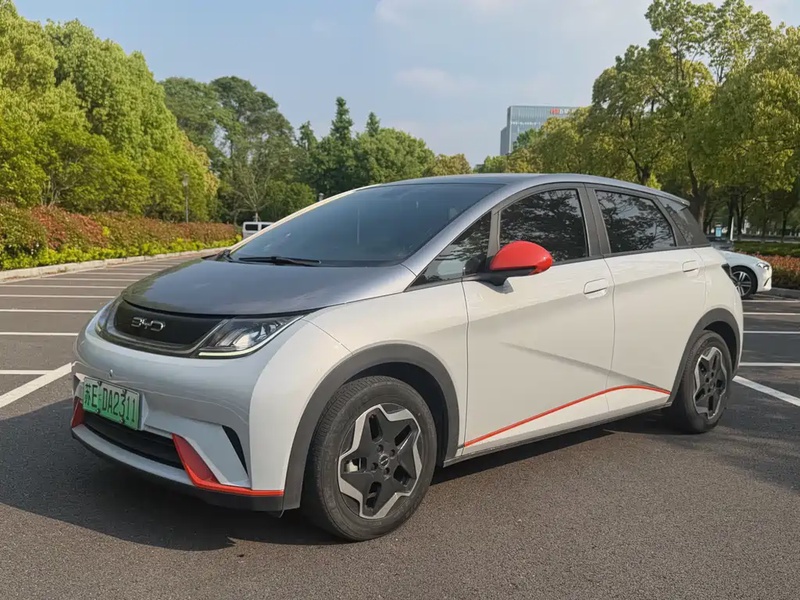 BYD Dolphin