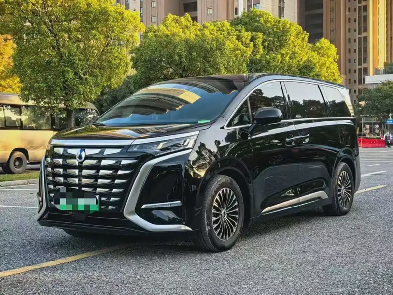 Denza D9