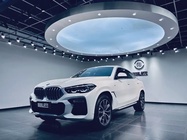 BMW X6 2021
