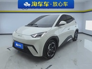 BYD Seagull 2024