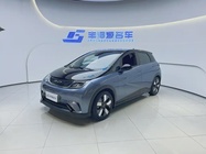 BYD Dolphin 2024