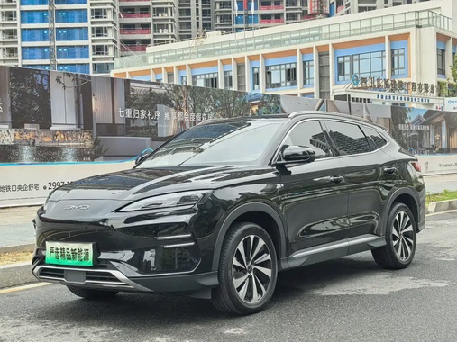 BYD PLUS 2024