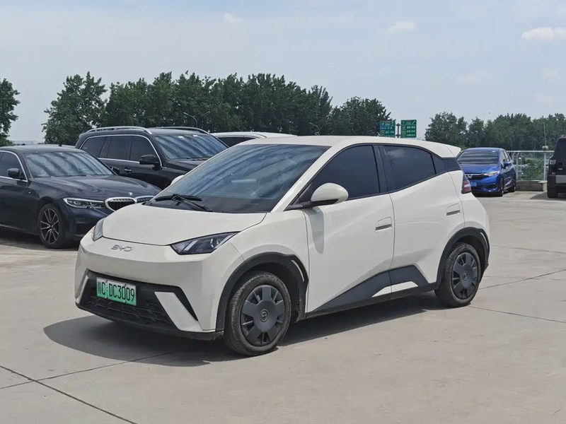 BYD Seagull