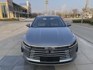 BYD Destroyer 2024