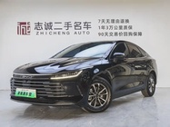 BYD Destroyer 2024