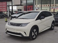 BYD Dolphin 2024