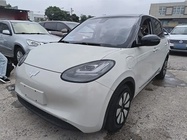 Wuling Bingo 2024