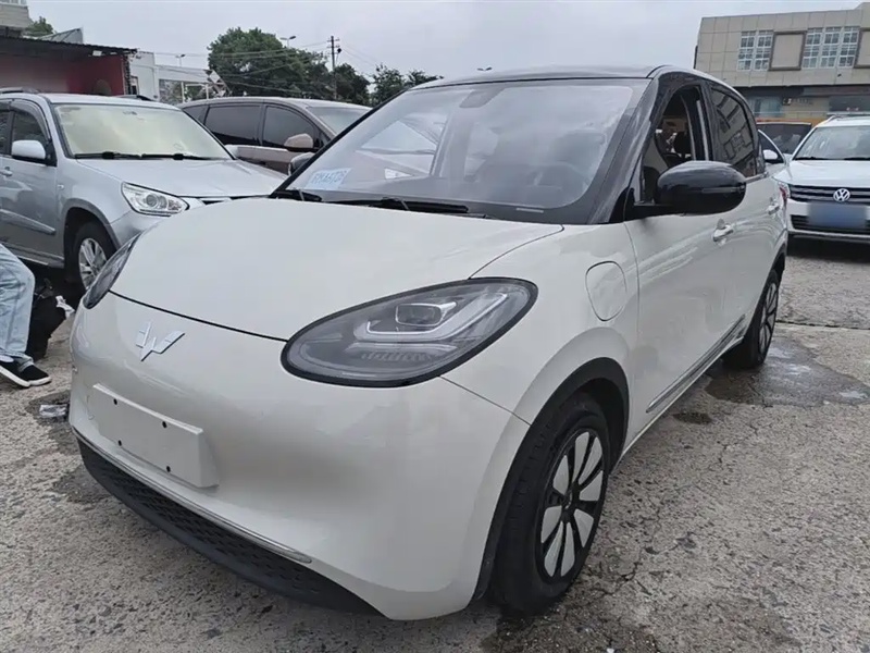 Wuling Bingo