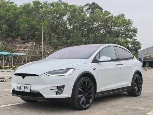 Tesla Model X 2019